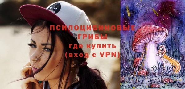 ГАЛЛЮЦИНОГЕННЫЕ ГРИБЫ Белоозёрский