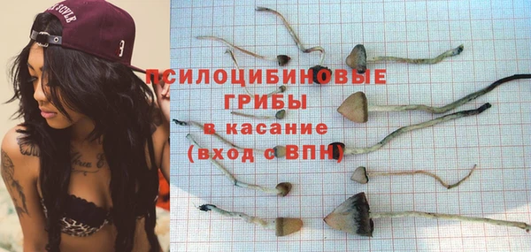 ГАЛЛЮЦИНОГЕННЫЕ ГРИБЫ Белоозёрский