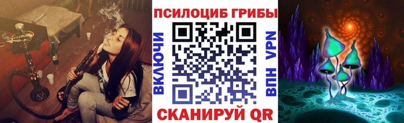 Купить закладки  Очёр  Галлюциногенные грибы мицелий 